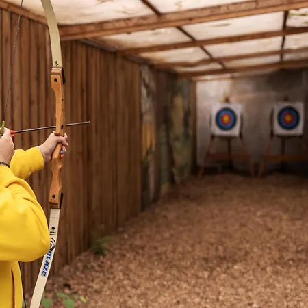 In Near Veluwe Forests