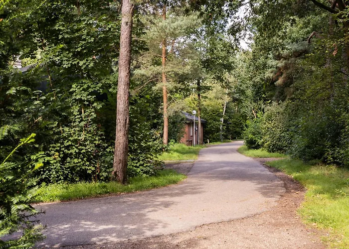 In Near Veluwe Forests Dom wakacyjny