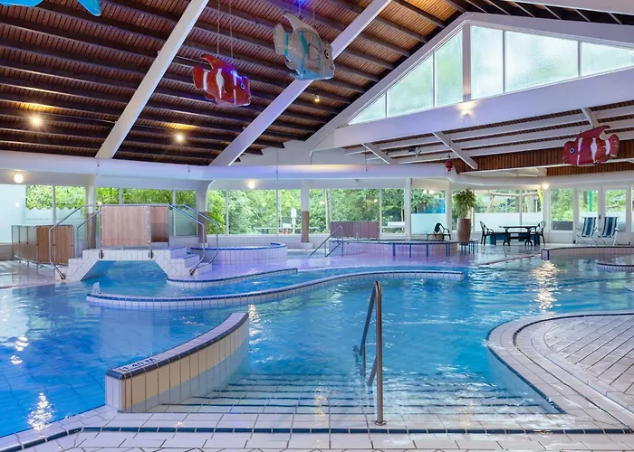 In Near Veluwe Forests