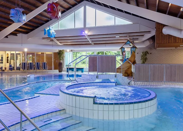 In Near Veluwe Forests